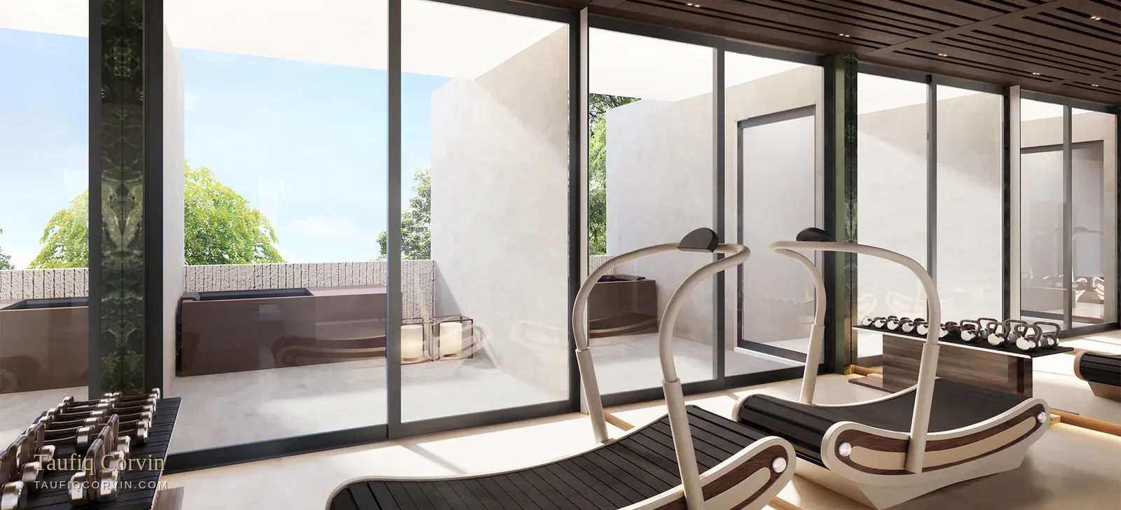 Solstice home gym — artist's impression